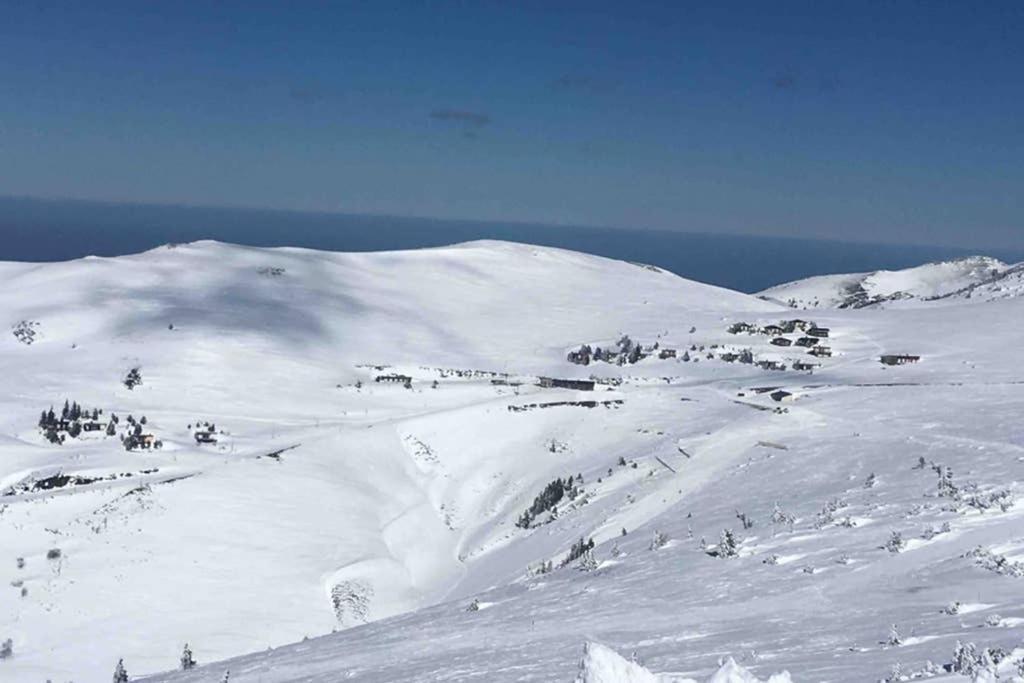 Chalet Ascou-Pailheres Εξωτερικό φωτογραφία